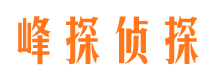 山西市婚姻调查